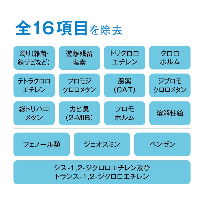 全１６項目を除去