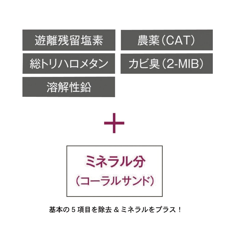 基本の５項目を除去＆ミネラルをプラス
