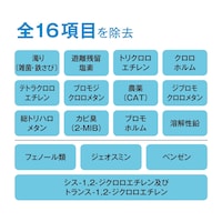 全１３項目を除去