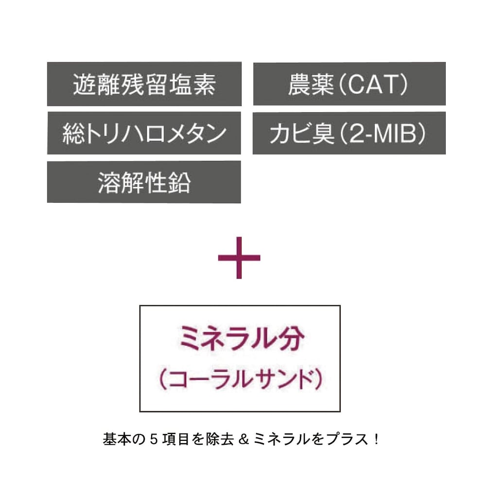 基本の５項目を除去＆ミネラルをプラス