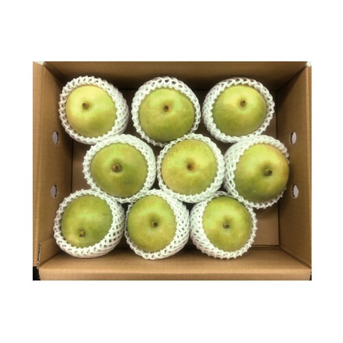 【予約商品】 鳥取県産二十世紀梨 2.4kg