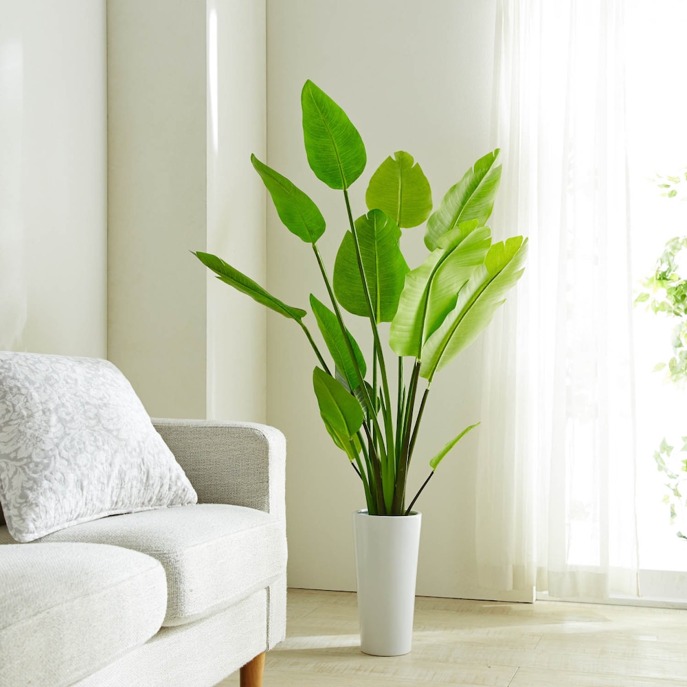【ベルメゾン】陶器の植木鉢に入ったストレリチアのフェイクグリーン
