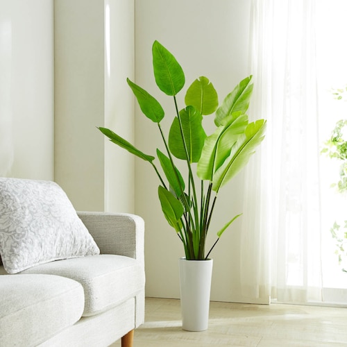陶器の植木鉢に入ったストレリチアのフェイクグリーン ＜高さ約155cm＞