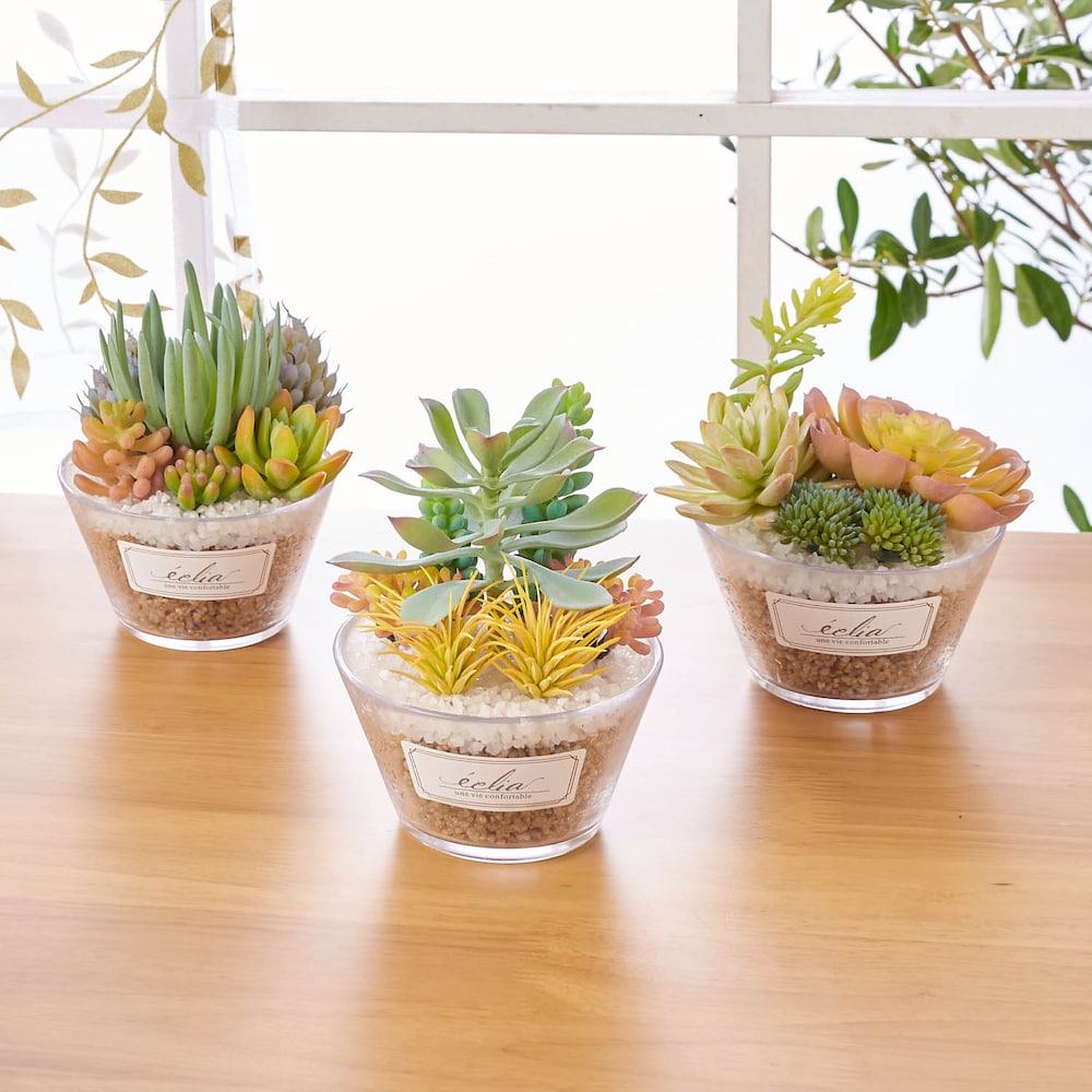 【ベルメゾン】ガラス瓶に入ったパステルカラーの多肉植物フェイクグリーン