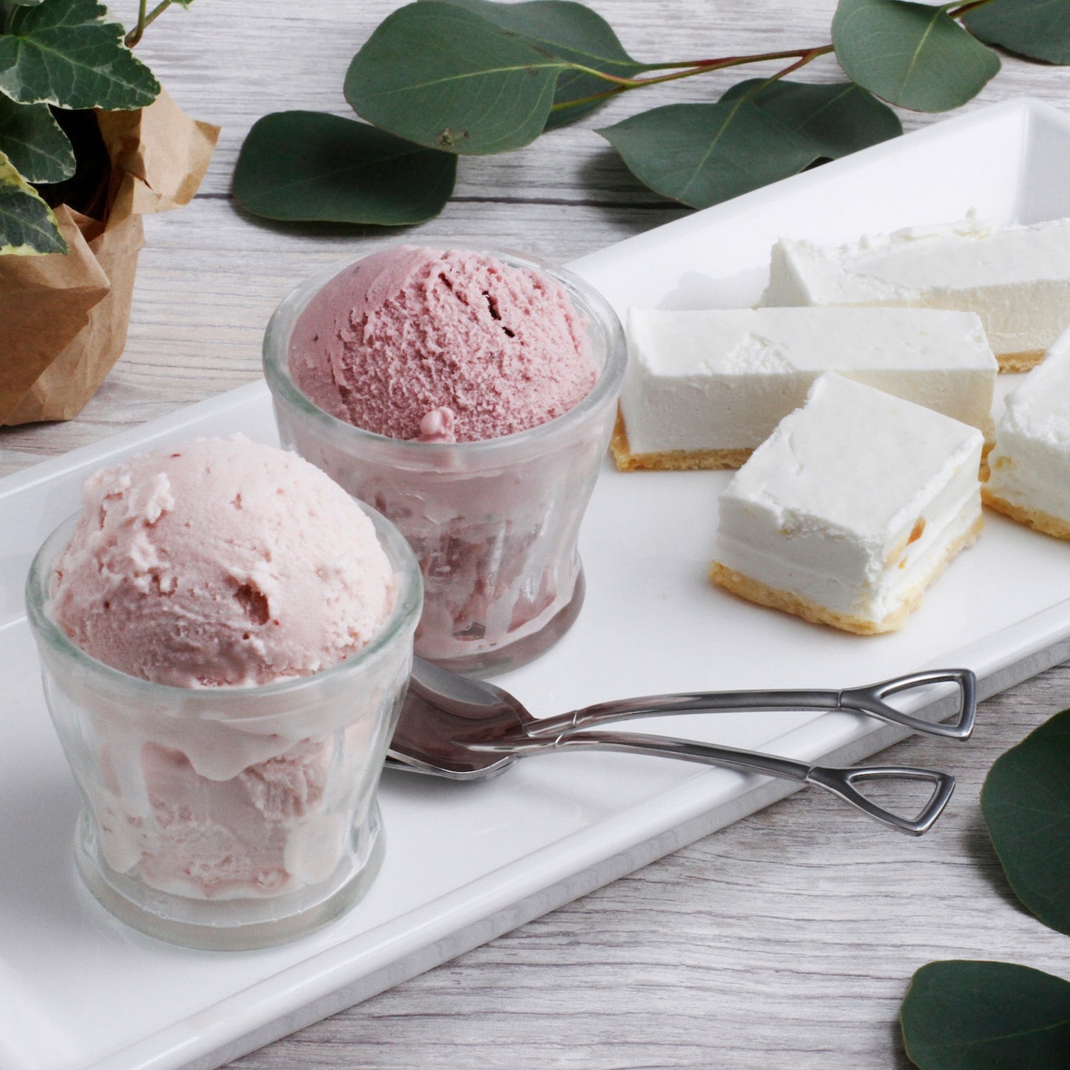 市場 ふるさと納税 チーズ イタリアンスイーツ アイス アイスケーキ 天使の微笑み 新感覚 市場 ふるさと納税 チーズ イタリアンスイーツ アイス アイスケーキ 天使の微笑み 新感覚