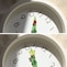 1時間に一度、分針と時針が交差するときに昆虫が葉っぱの上で羽を休めるよう