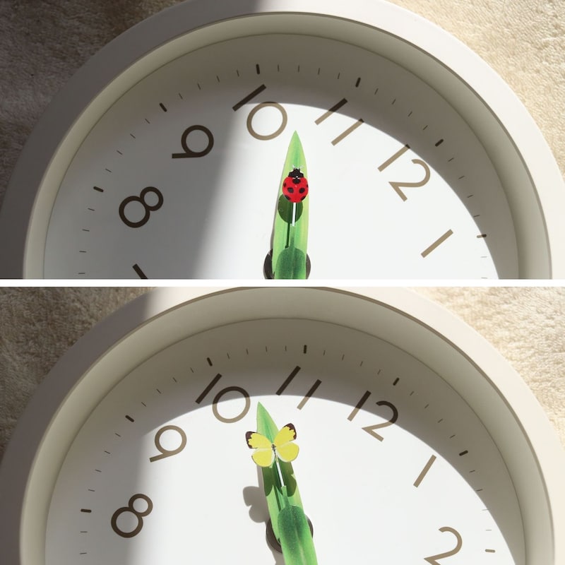 1時間に一度、分針と時針が交差するときに昆虫が葉っぱの上で羽を休めるよう