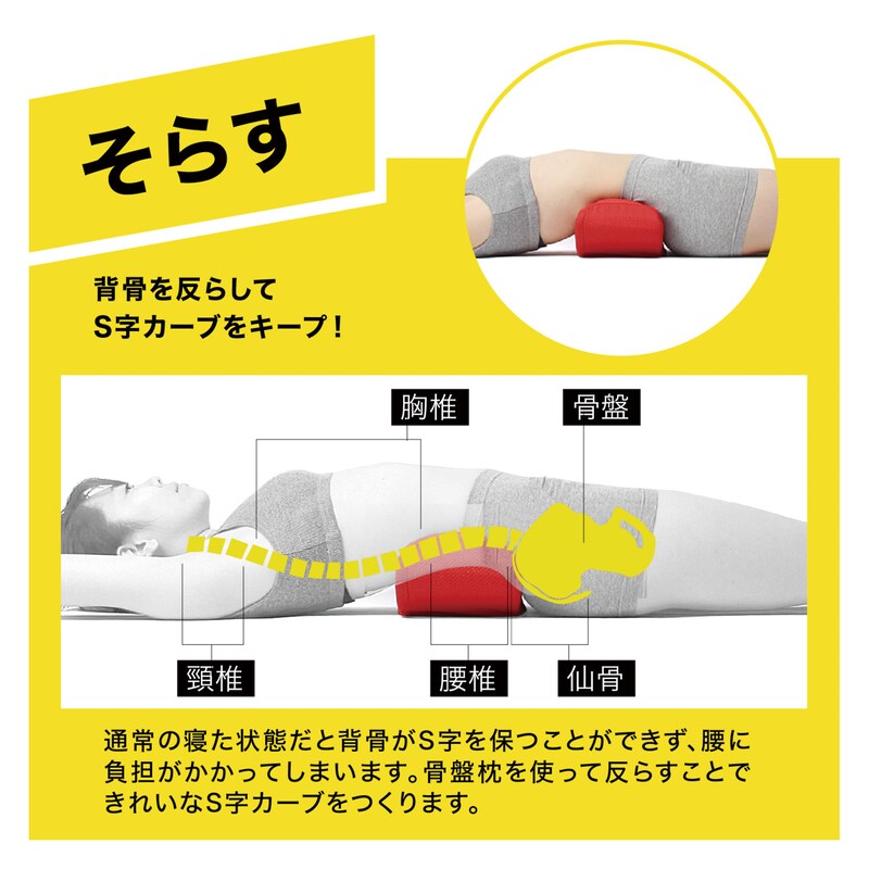 福辻式寝ながら骨盤ストレッチ枕ｄｘ 通販のベルメゾンネット