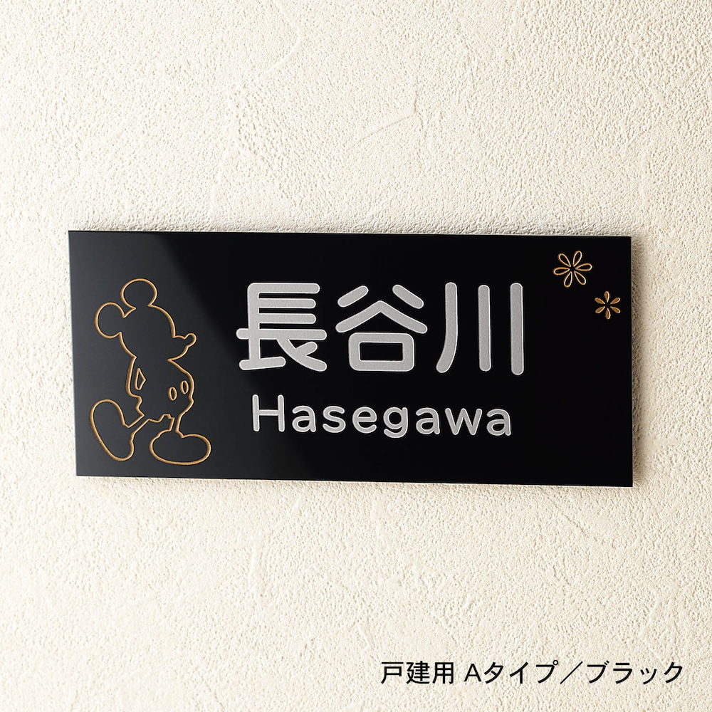戸建用Aタイプ／ブラック
