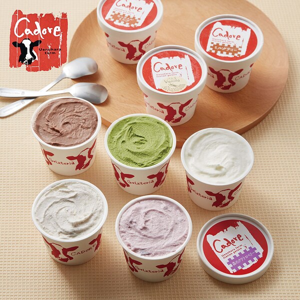 【カドーレ】いろんな味が楽しめる ジェラートセット