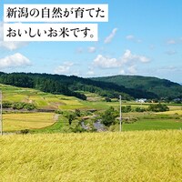 各農家から直接集荷し、農産物検査員による厳しい検査のあと、自社精米工場で丁寧に精米しました。