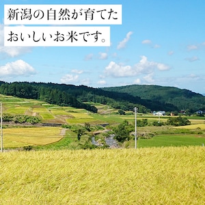 各農家から直接集荷し、農産物検査員による厳しい検査のあと、自社精米工場で丁寧に精米しました。