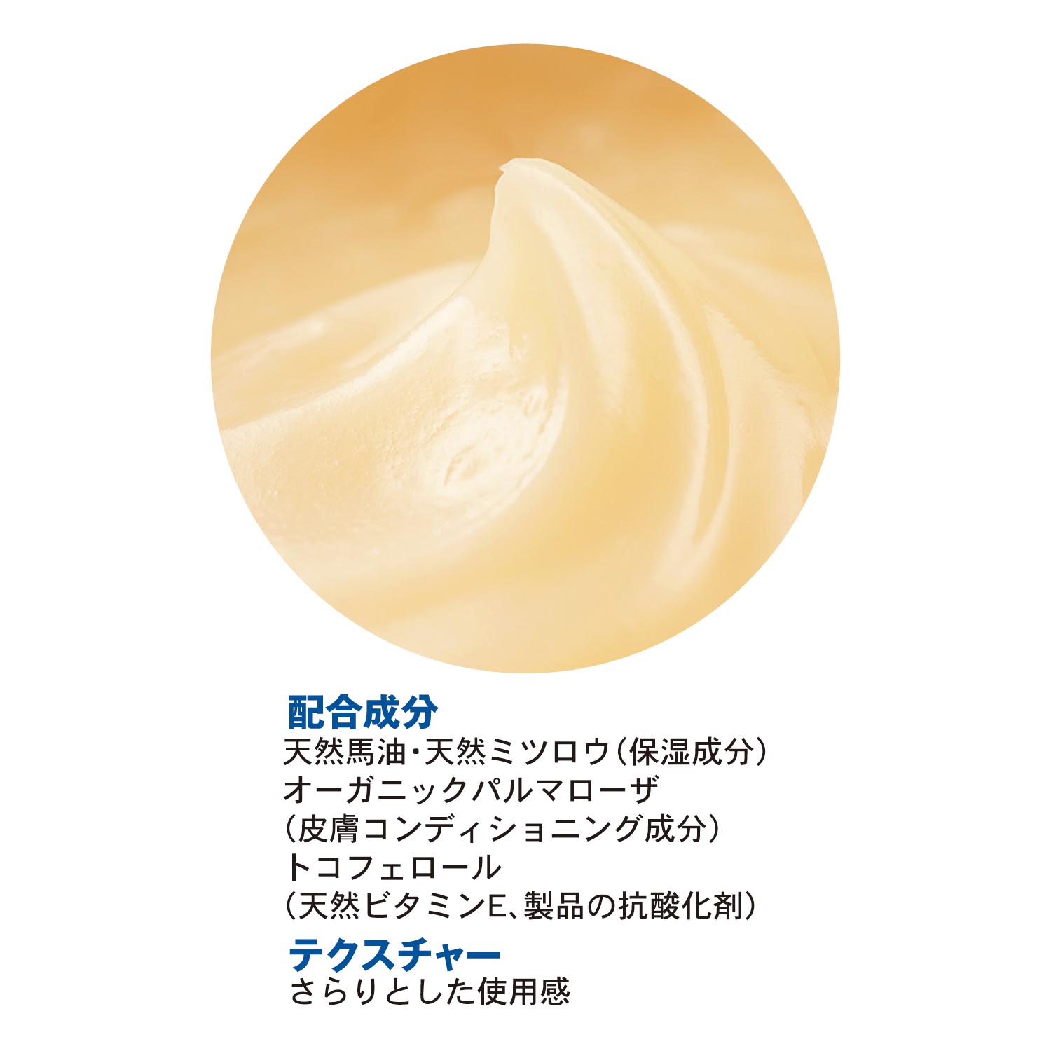 ベビーバーユ マドンナ マドンナ 通販のベルメゾンネット ベビーバーユ マドンナ マドンナ 通販のベルメゾンネット