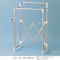 レギュラー竿2本付き