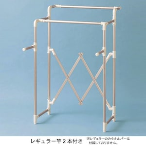 レギュラー竿2本付き