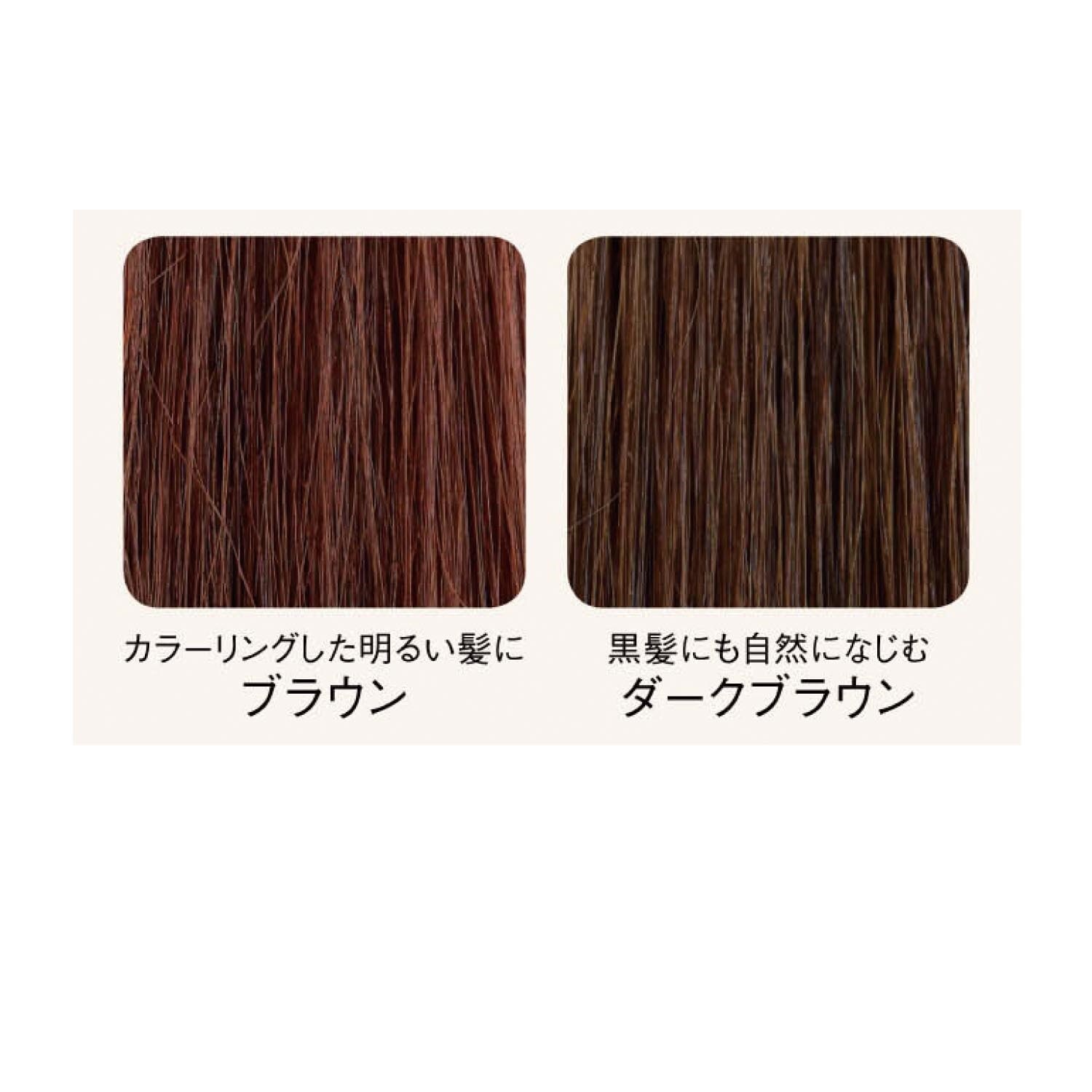 【定期お届け】［１ヵ月コース］ 「ルナラボ」ヘアカラートリートメント（ダークブラウン） ：ワンパターン