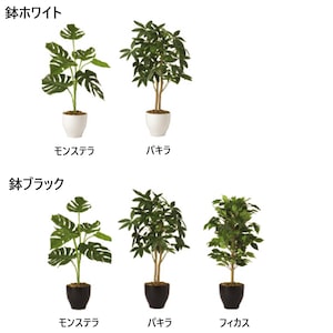 鉢付きタイプ　一覧