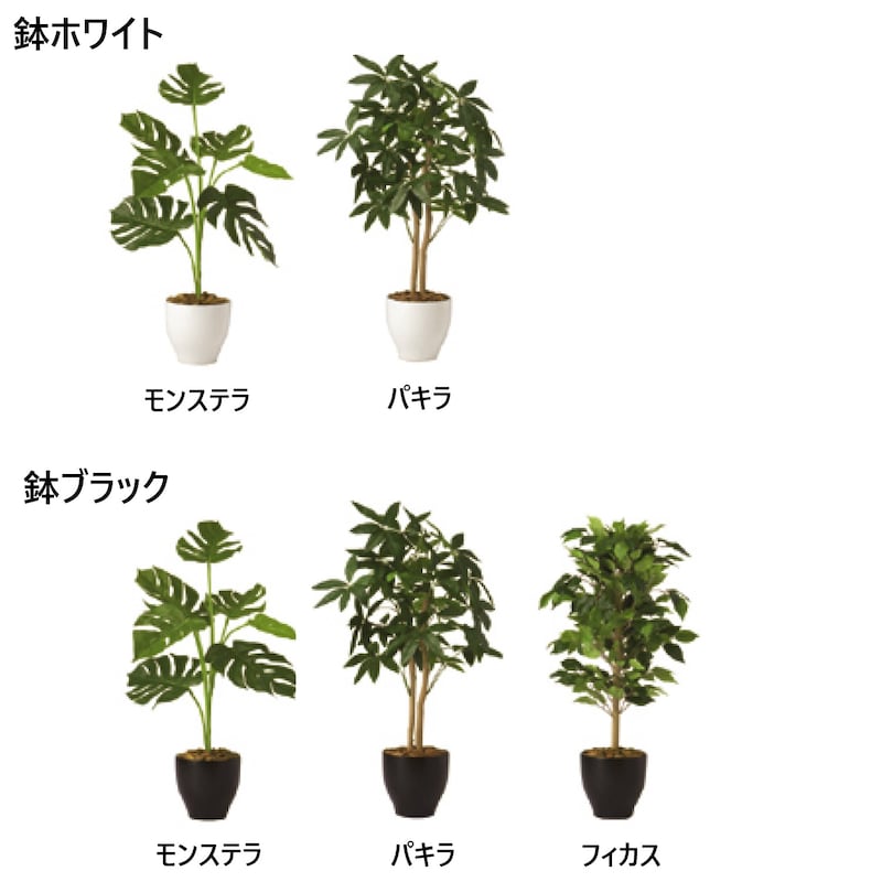 鉢付きタイプ　一覧