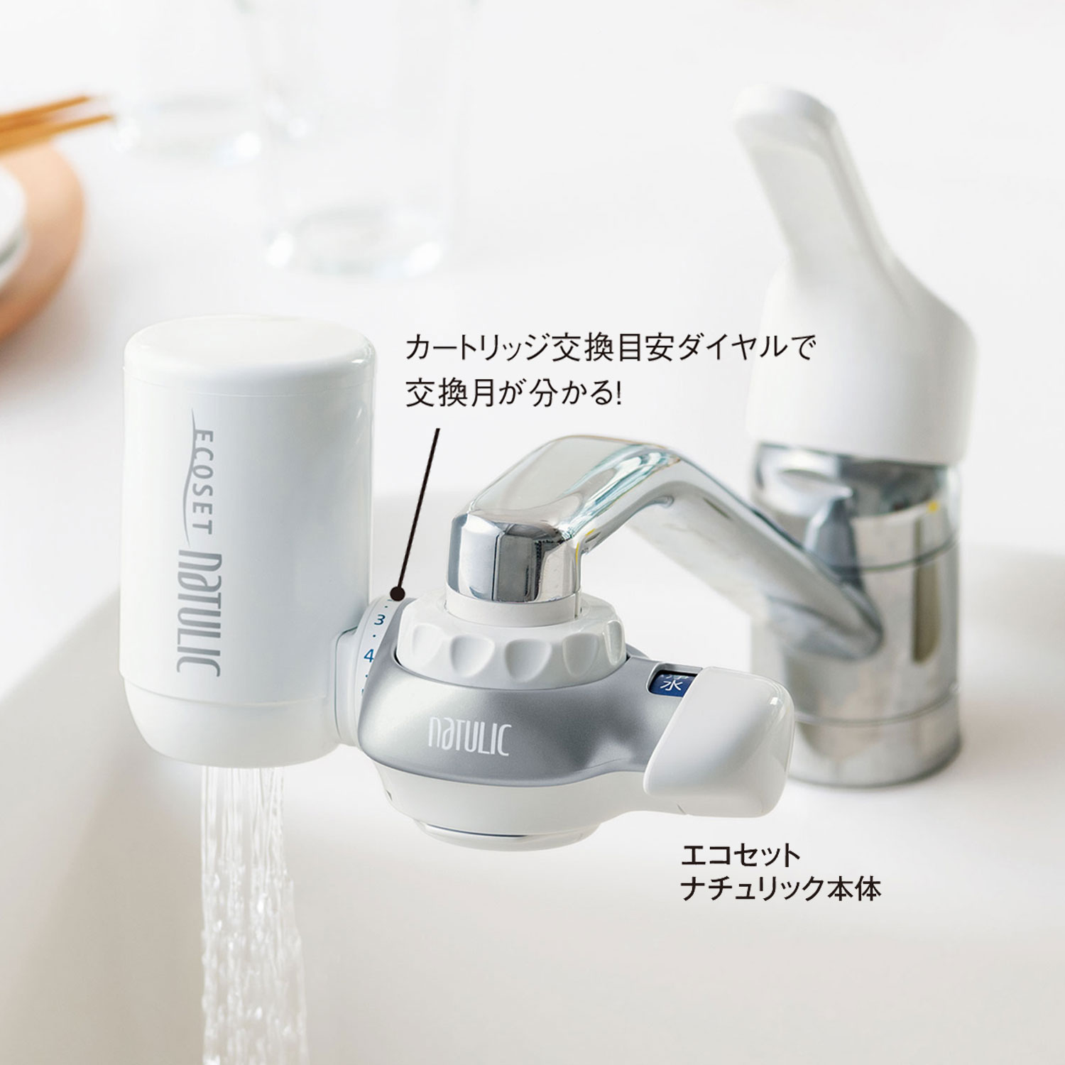 【1回のみお届け】 高性能浄水器 「エコセットナチュリック」【本体のみ】