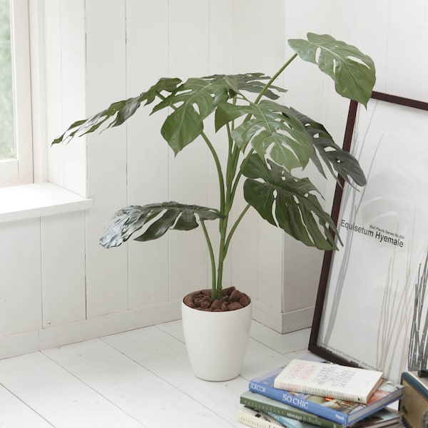 【ベルメゾン】ミドルサイズの消臭フェイクグリーン「モンステラ」