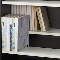 ダブル棚板なので、前後で本を収納でき、後方の本も見つけやすい