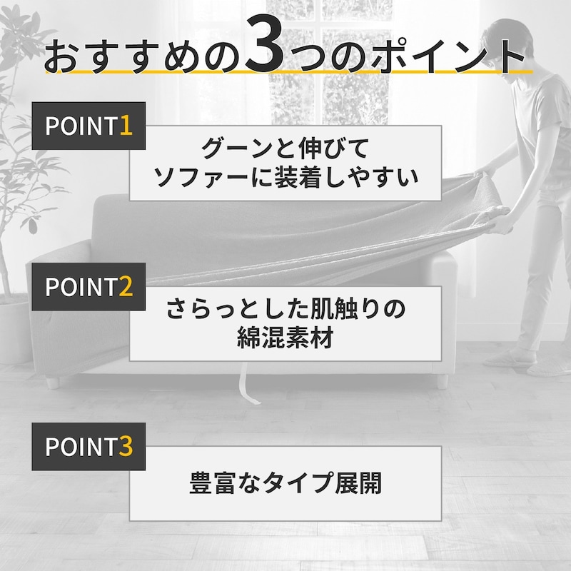 おすすめポイント