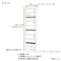 ※Bタイプの販売はありません