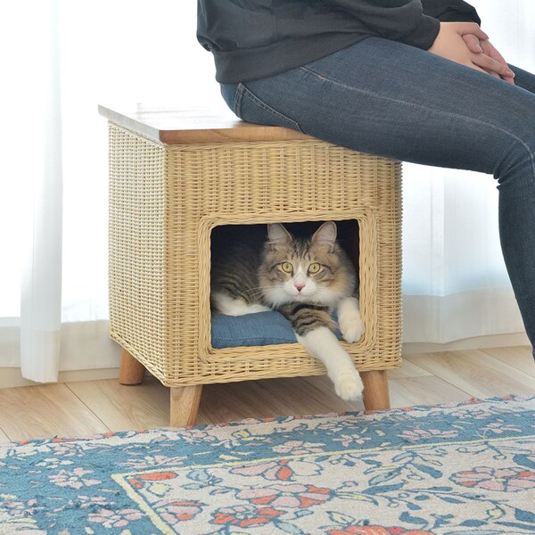 【ベルメゾン】ペットと一緒にくつろげるペットハウススツール