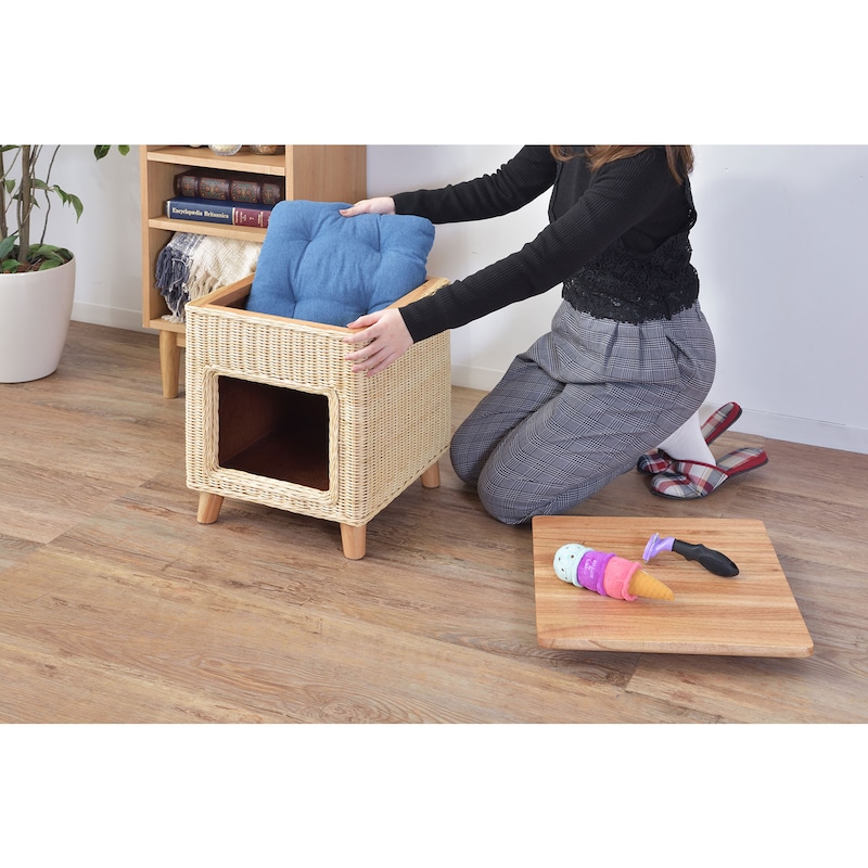 使用イメージ