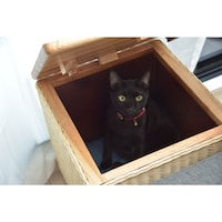 使用イメージ