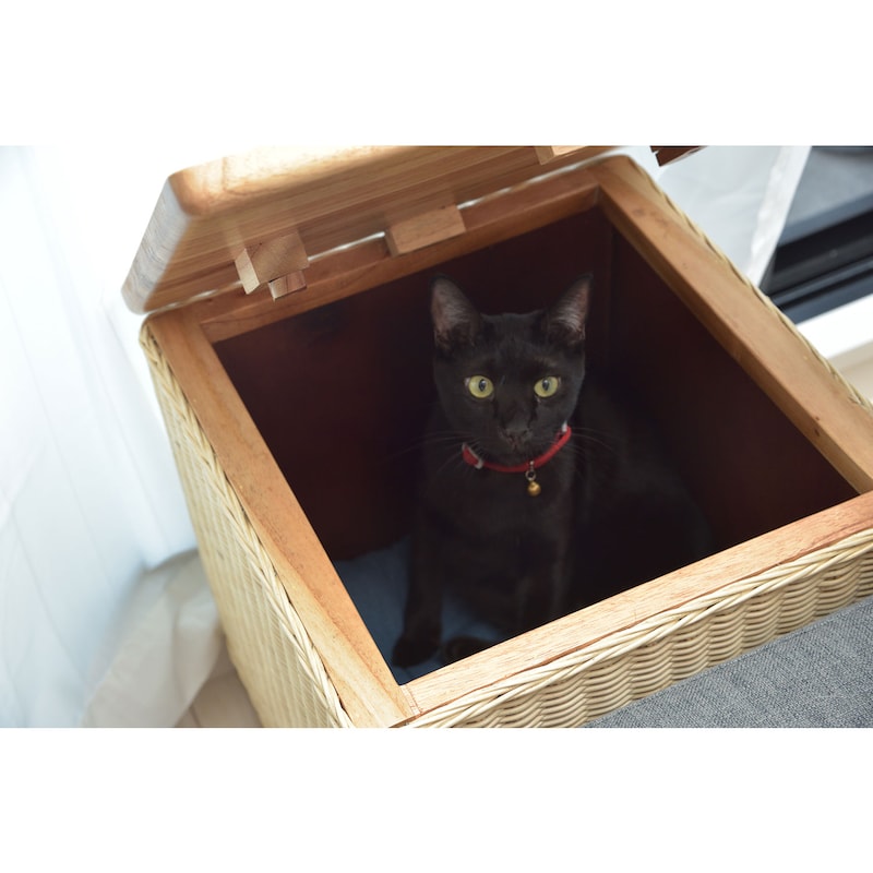 使用イメージ