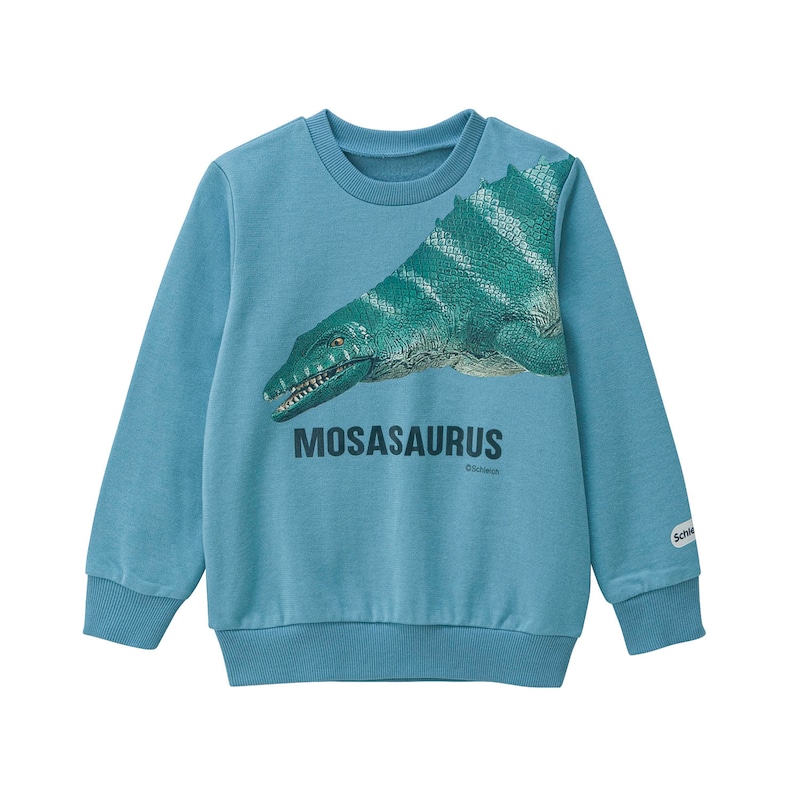 スモーキーブルー（モササウルス）