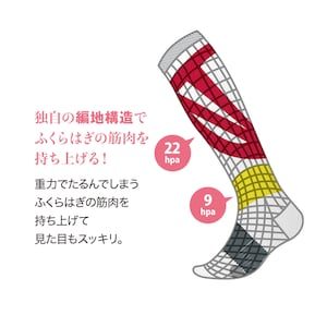 独自の編地構造でふくらはぎの筋肉を持ち上げる！
