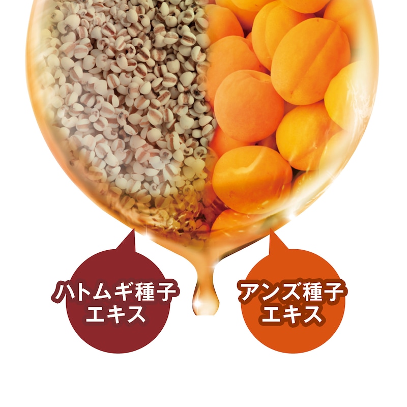 ※画像は全てイメージです