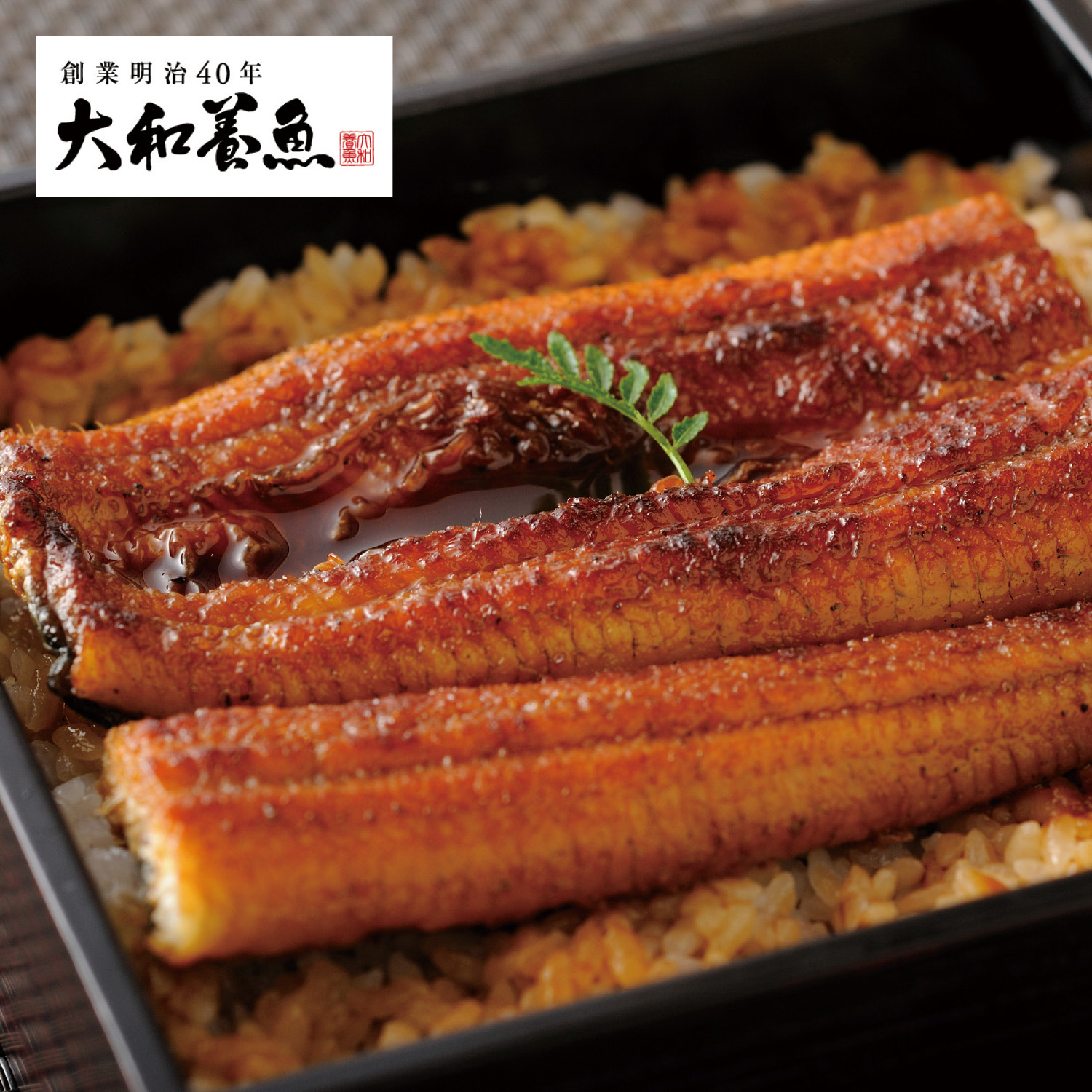 浜名湖うなぎ蒲焼 浜名湖うなぎ蒲焼