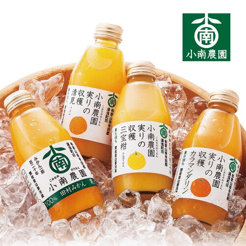 【サマーギフト】 ４種の柑橘ジュースセット
