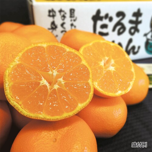熊本県産みかん「だるまみかん」5kg
