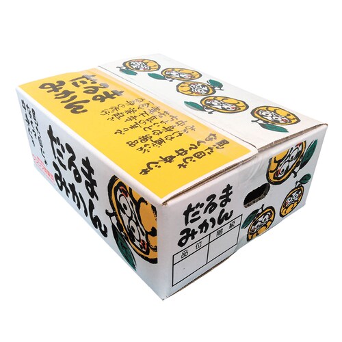 熊本県産みかん「だるまみかん」5kg