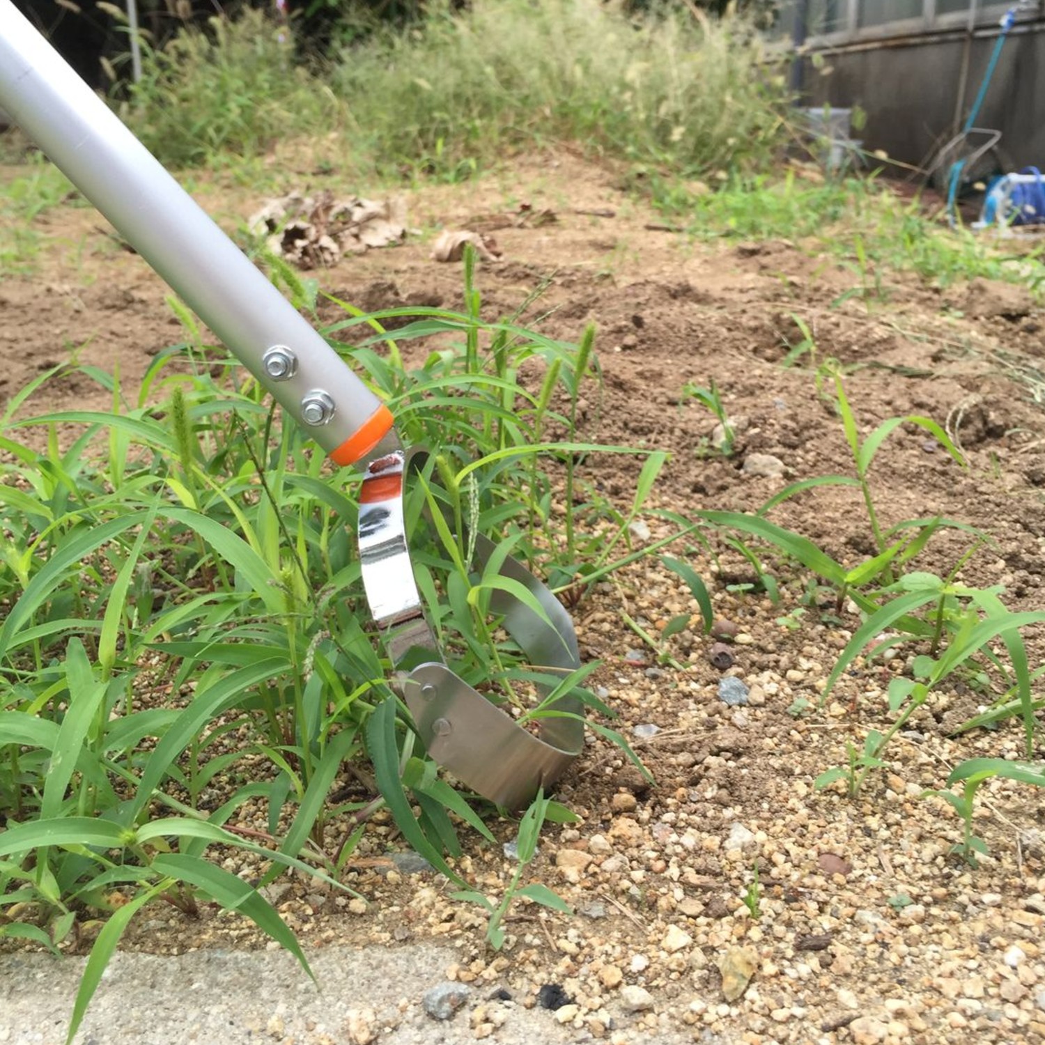 雑草抜きの通販 通販のベルメゾンネット 雑草抜きの通販 通販のベルメゾンネット