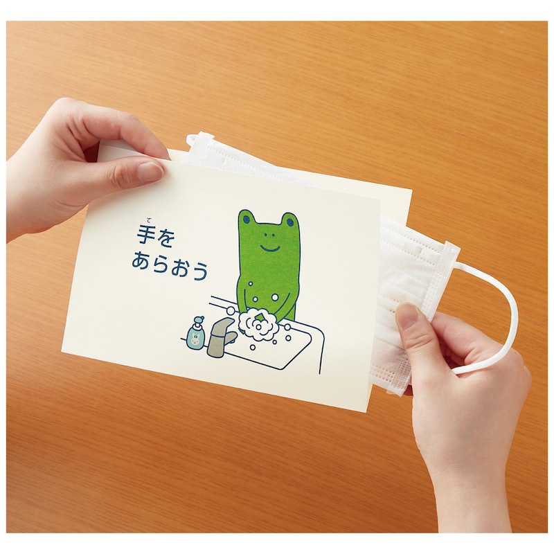 ちょこちょこマスクケース　３柄セット