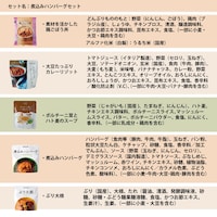 原材料名：煮込みハンバーグセット