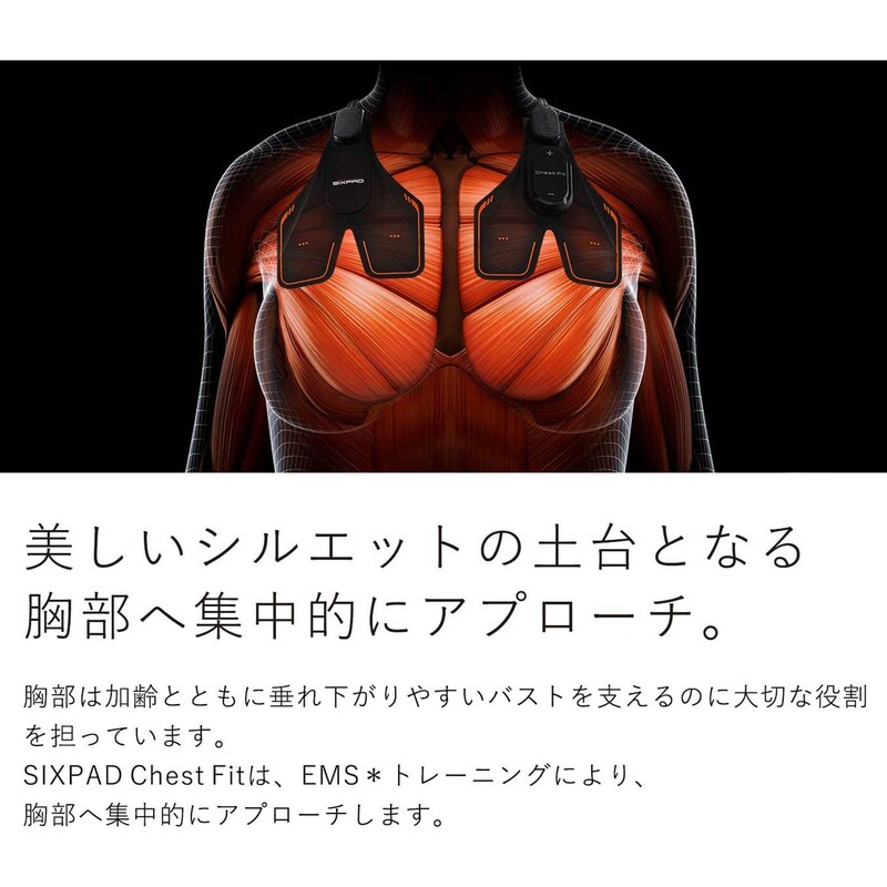 シックスパッド チェストフィット(シックスパッド/SIXPAD)｜通販の 