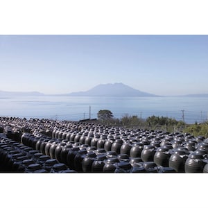 鹿児島湾の奥に位置し、鹿児島のシンボル桜島を一望する鹿児島県霧島市福山町「桷志田地区」。温暖な気候と