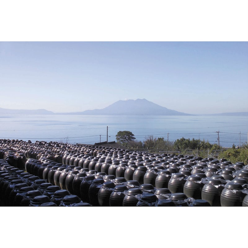鹿児島湾の奥に位置し、鹿児島のシンボル桜島を一望する鹿児島県霧島市福山町「桷志田地区」。温暖な気候と