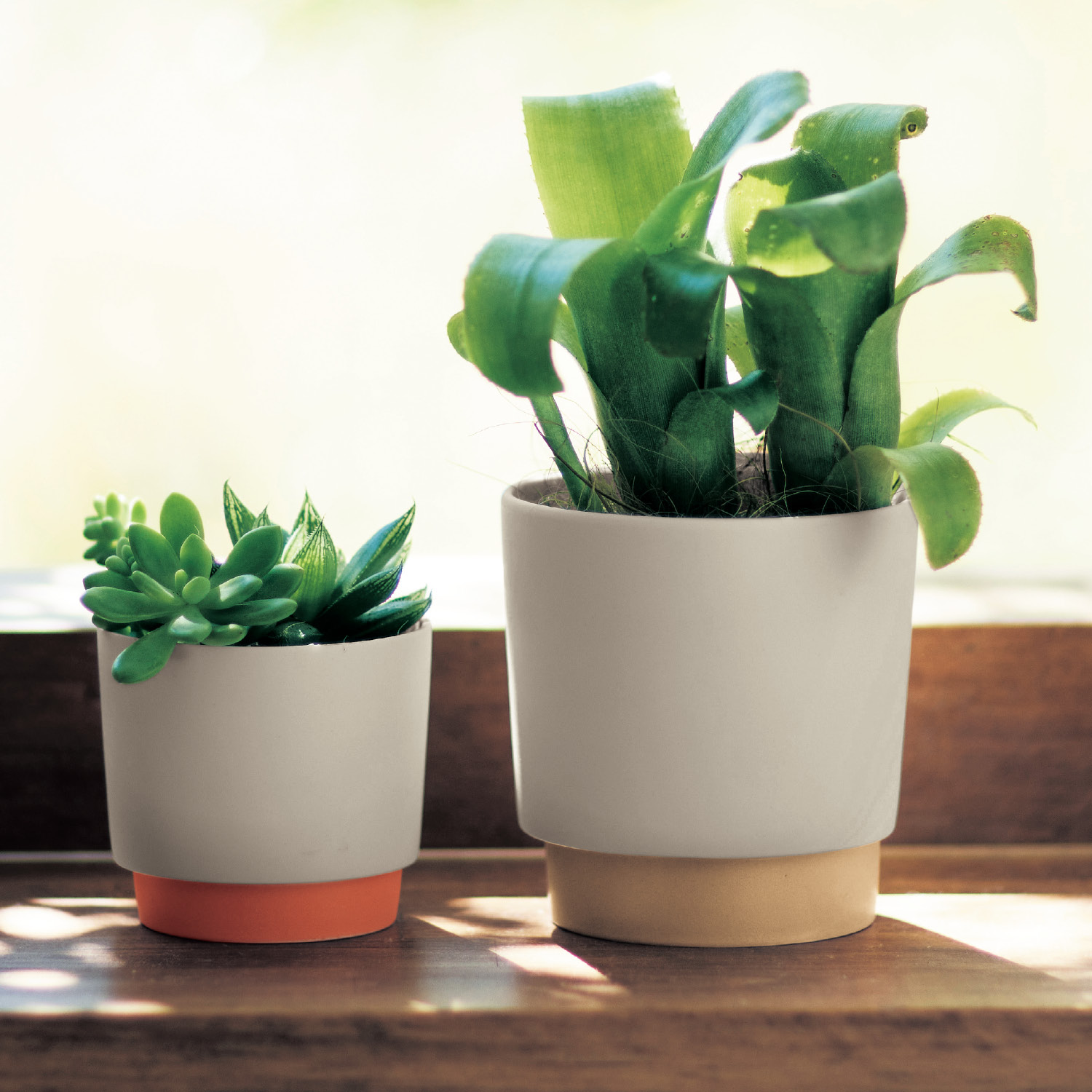 再生土を使用した鉢 受け皿セット 美濃焼 日本製 通販のベルメゾンネット 再生土を使用した鉢 受け皿セット 美濃焼 日本製 通販のベルメゾンネット