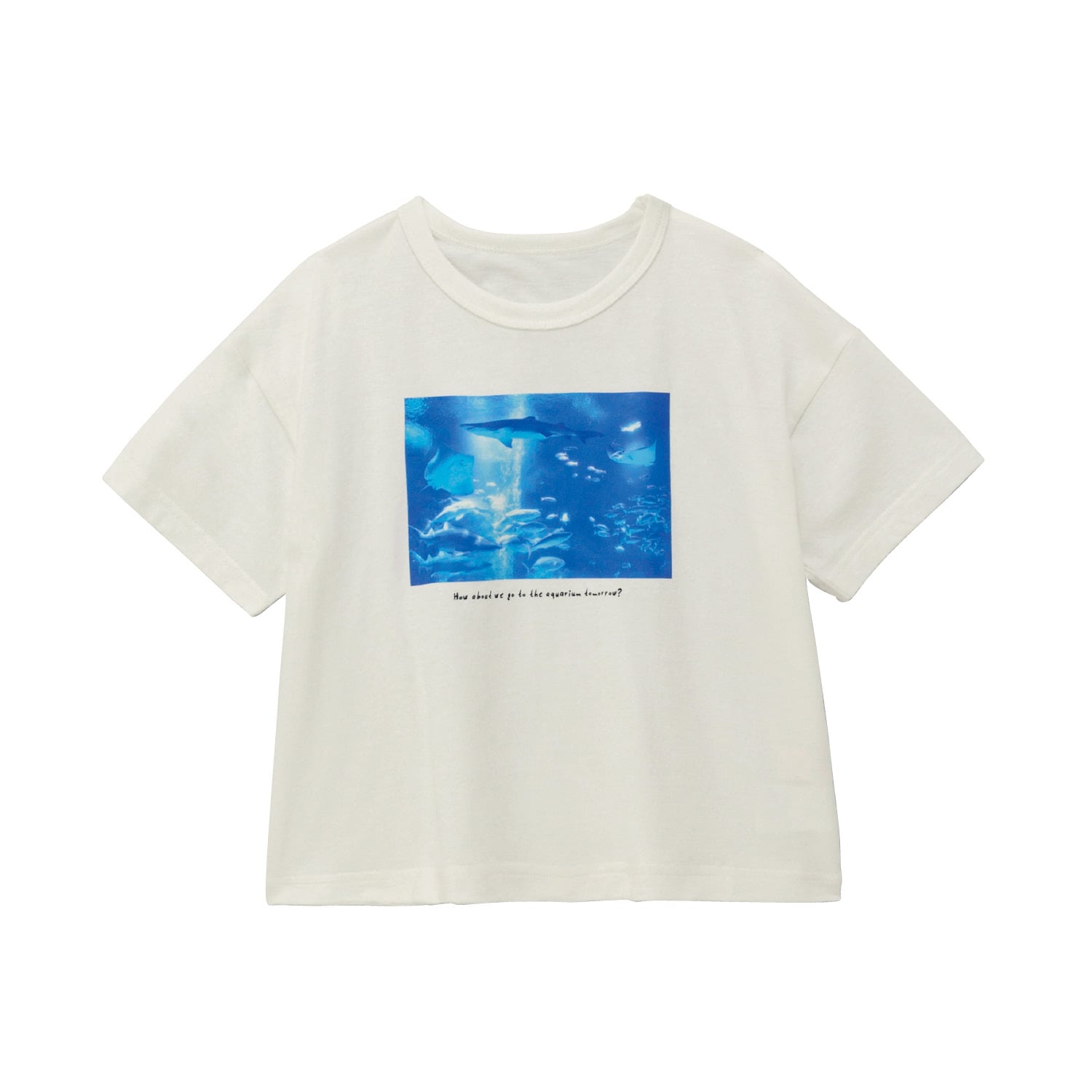 薄くて涼しい海のなかまゆるシルエット半袖Ｔシャツ（子供服 Tシャツ