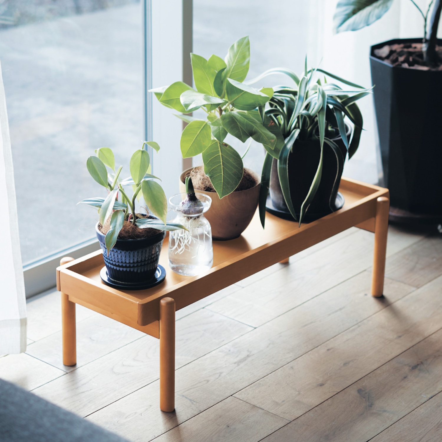 【ベルメゾン】薄型プランターラック