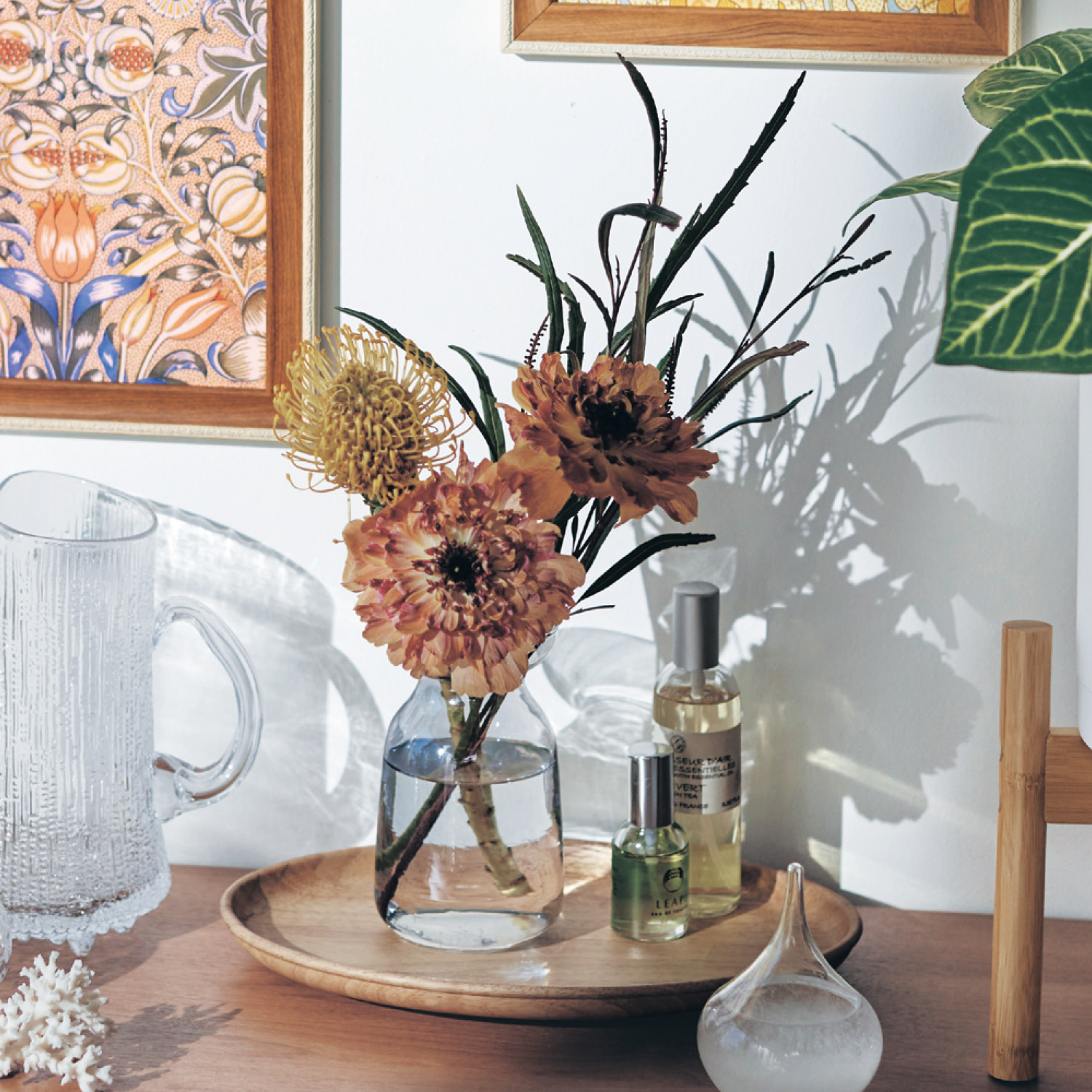 ガラスの水耕栽培フラワーベース 通販のベルメゾンネット ガラスの水耕栽培フラワーベース 通販のベルメゾンネット