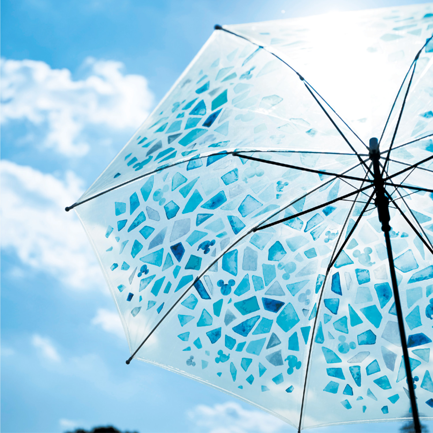 ビニール傘 選べるキャラクター ディズニー Disney 通販のベルメゾンネット ビニール傘 選べるキャラクター ディズニー Disney 通販のベルメゾンネット