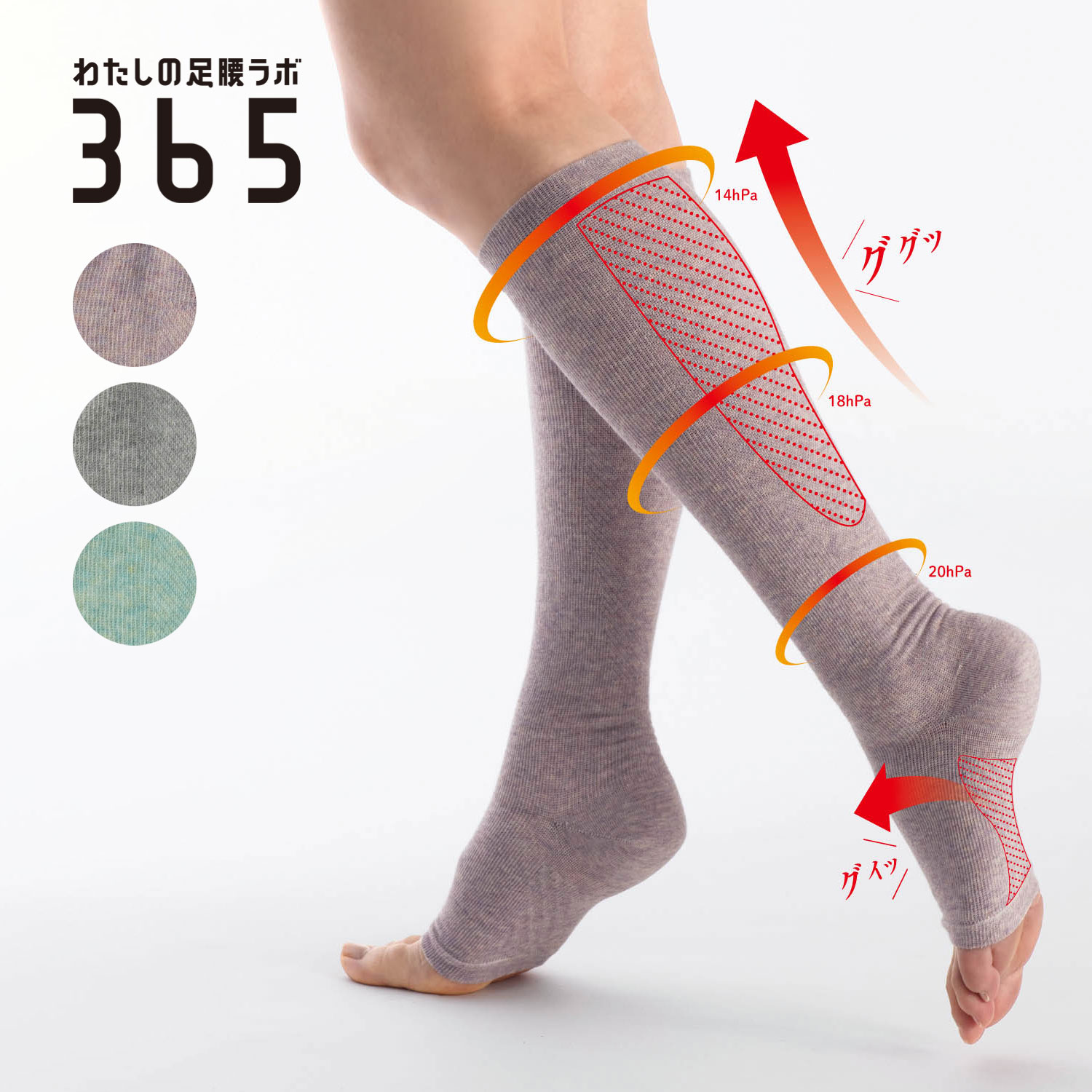 【わたしの足腰ラボ365】足裏 & ふくらはぎググッとサポーター [日本製]
